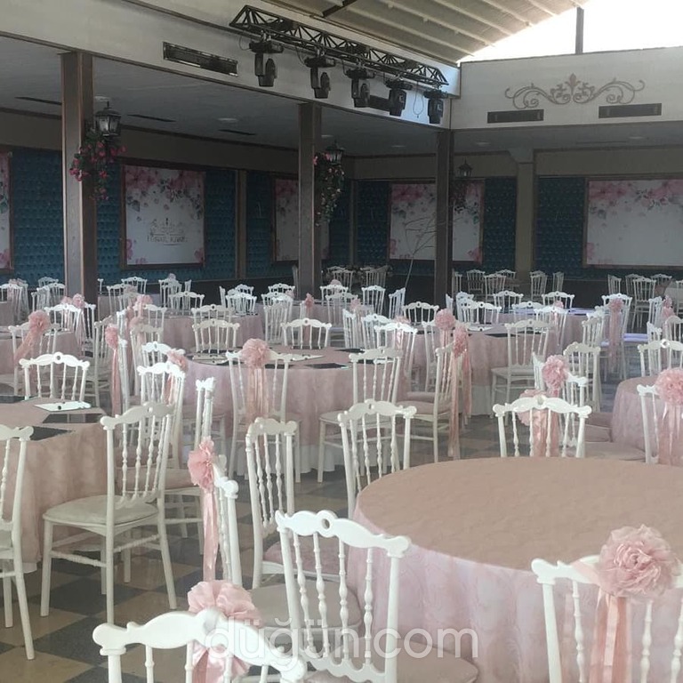 Alen Ajans Organizasyon