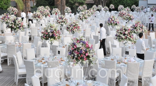 Alen Ajans Organizasyon