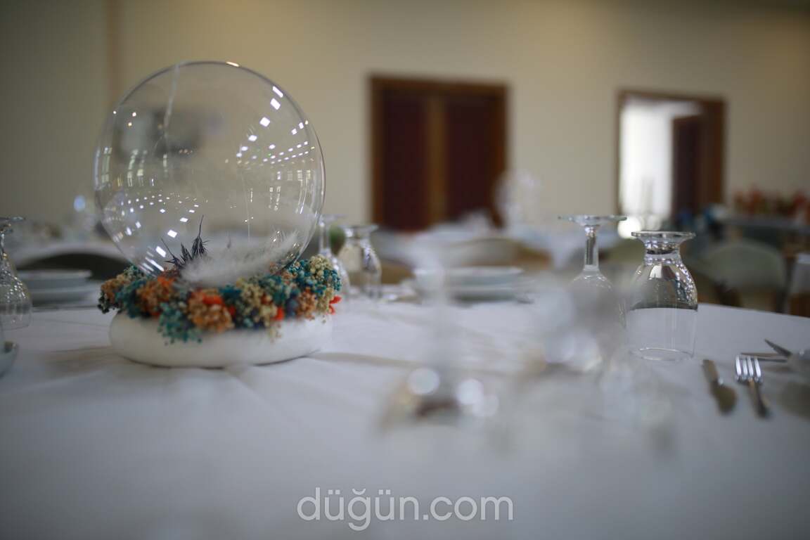 Armağan Organizasyon