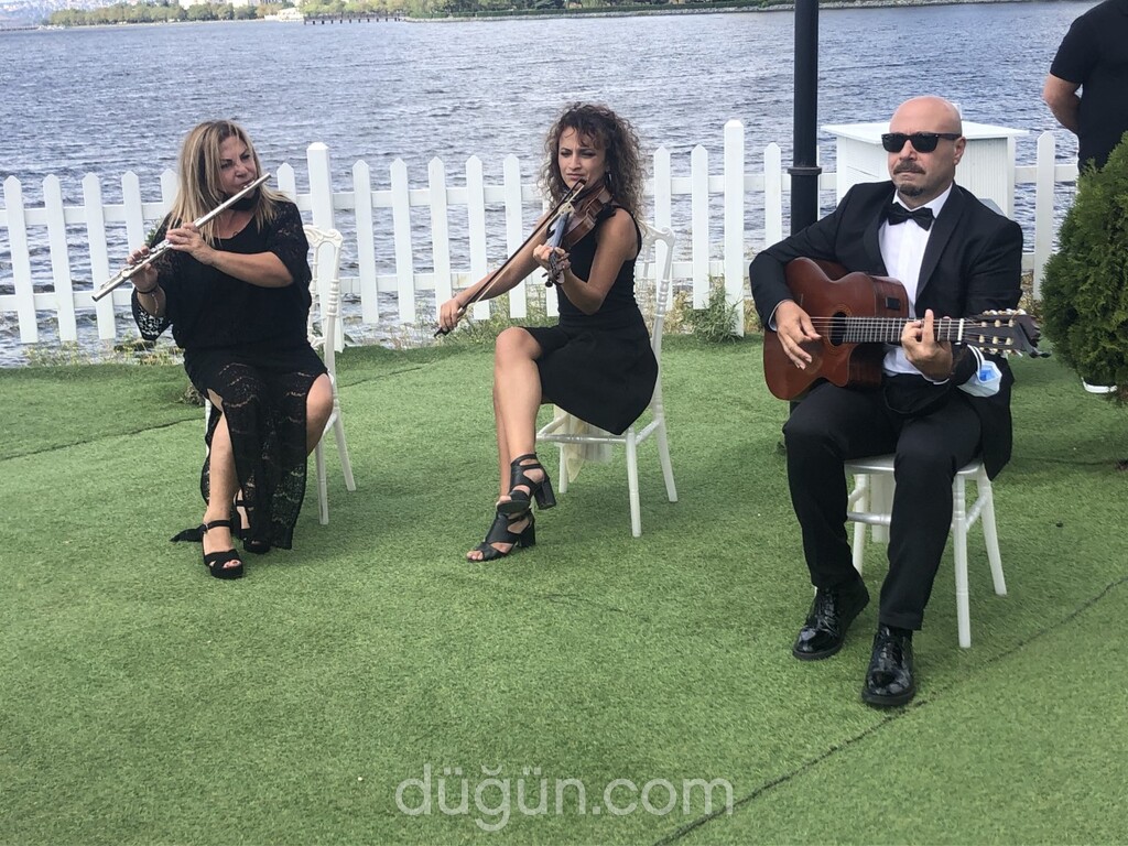 Bando Energy Trio ve Orkestra