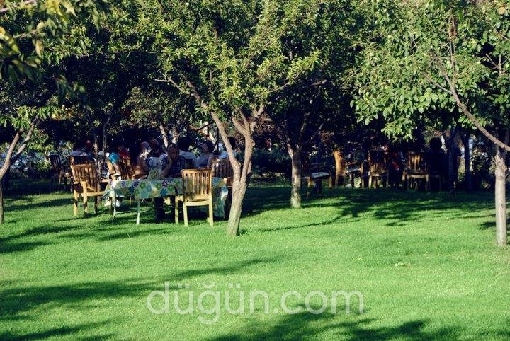 Özgür Bahçe Restaurant