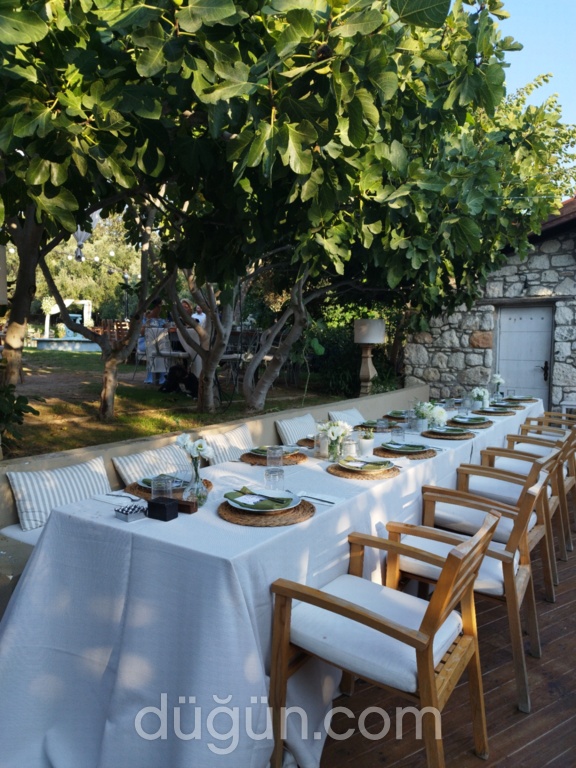 Düğün ve Köşkü