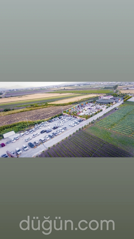 Masal Life Kır Bahçesi