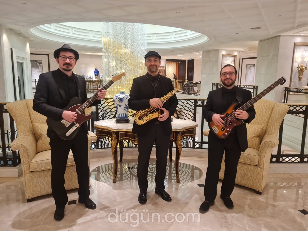 ViyolArt Müzik Organizasyon