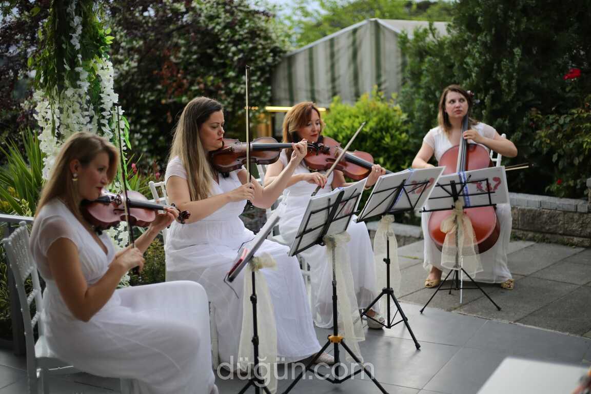 ViyolArt Müzik Organizasyon