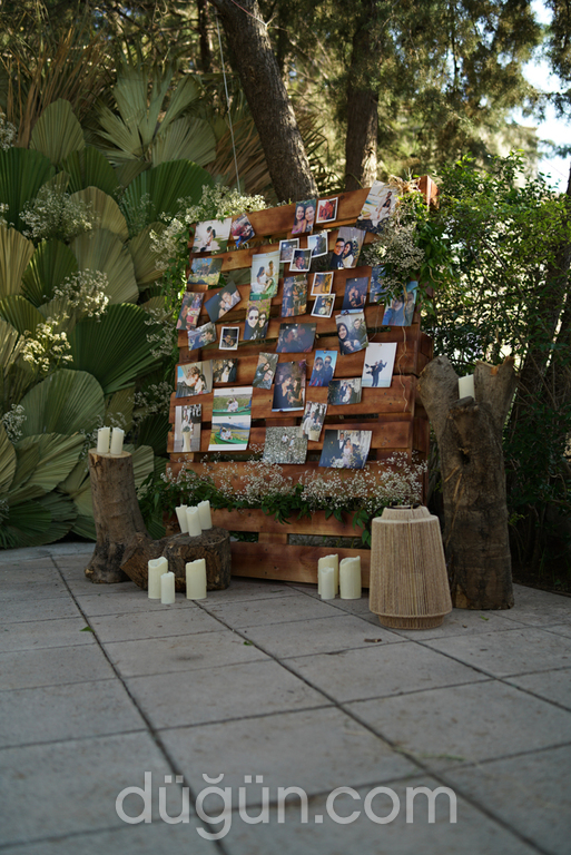 Daymyday Düğün Organizasyonu