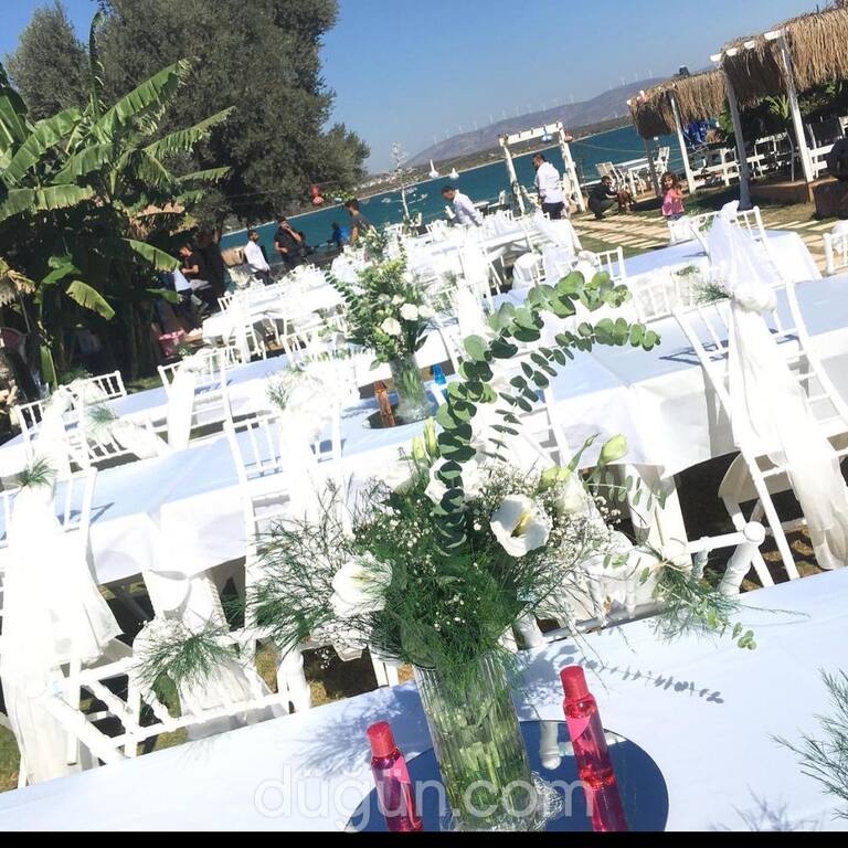 Love Organizasyon Didim