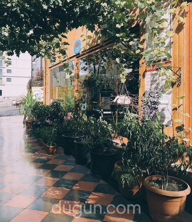 Adem Doruk Alabalık Tesisleri