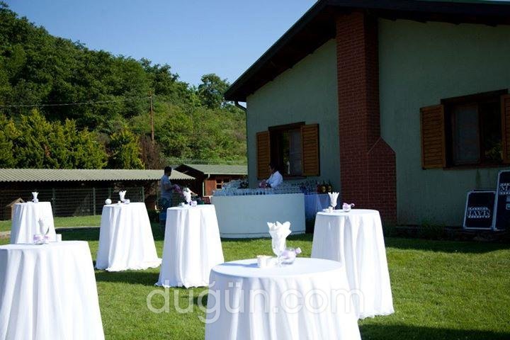 Liquid Professional Bar Services