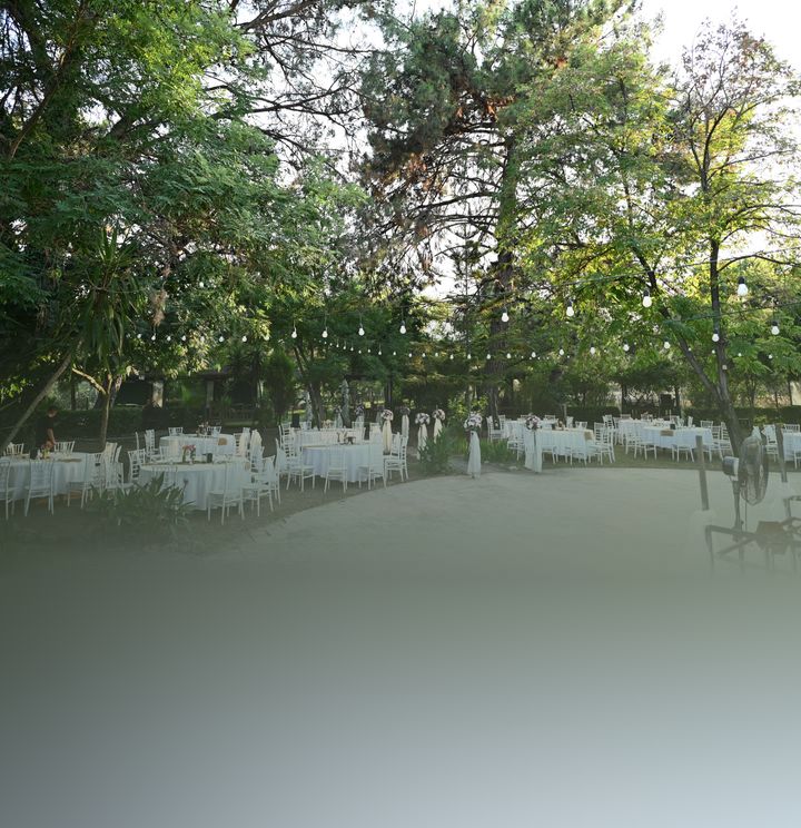 Yeşil Vaha Park