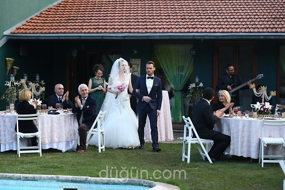 TEK Organizasyon ve Danışmanlık