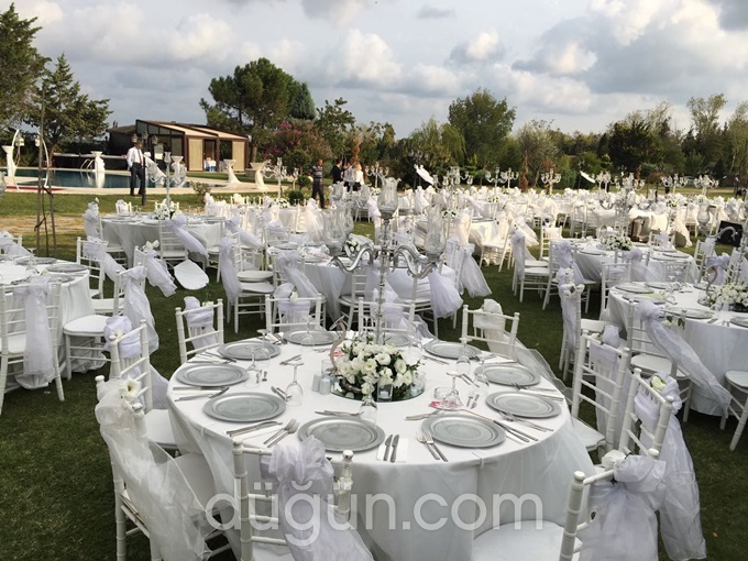 Esenler Organizasyon