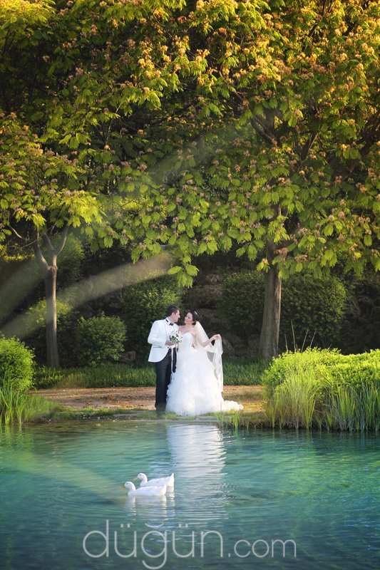 SDR Photography Serdar Kaya