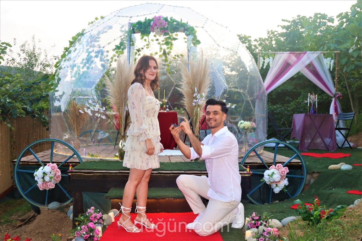 Riva Ahenk Organizasyon