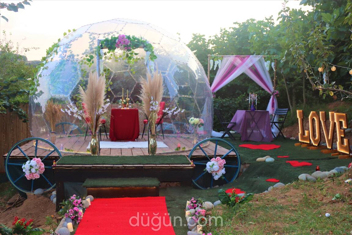 Riva Ahenk Organizasyon