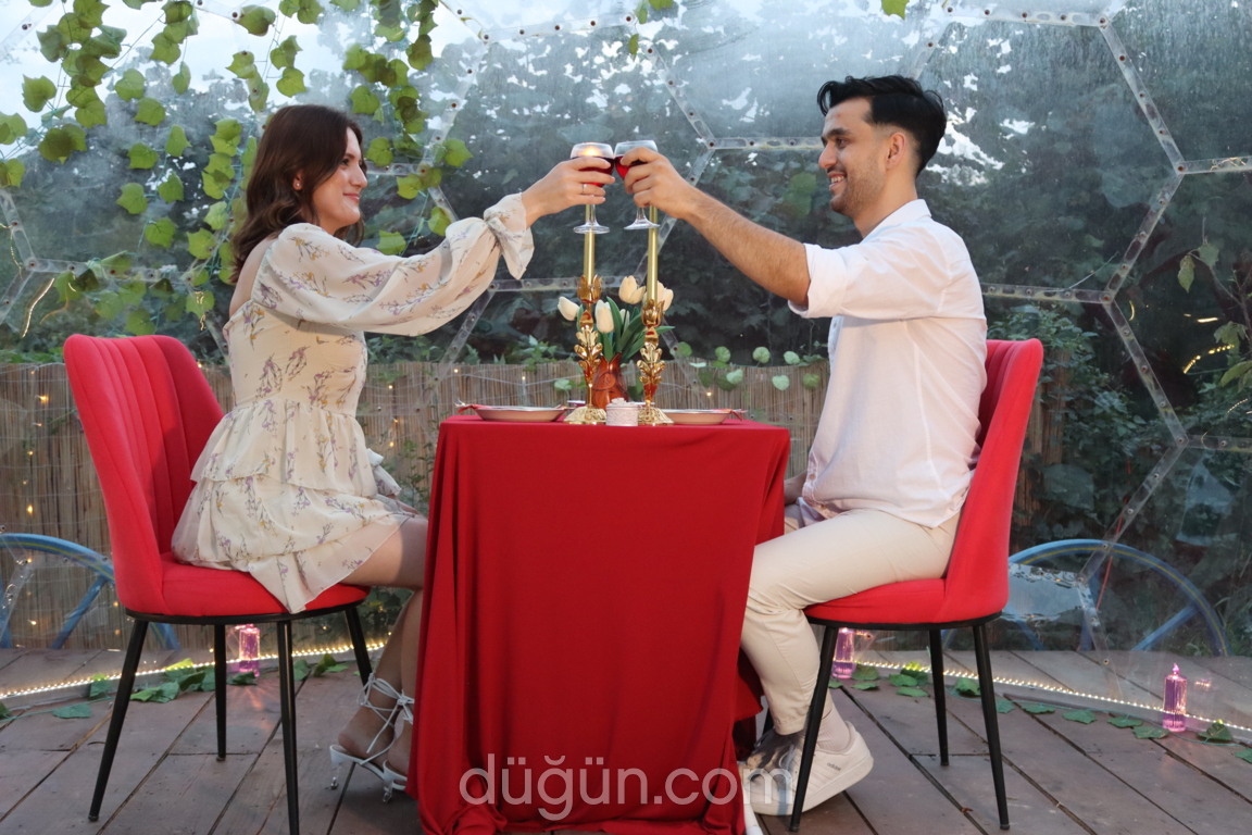 Riva Ahenk Organizasyon