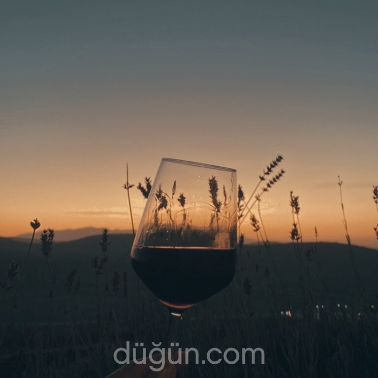 Villa Estet Bağ Hotel