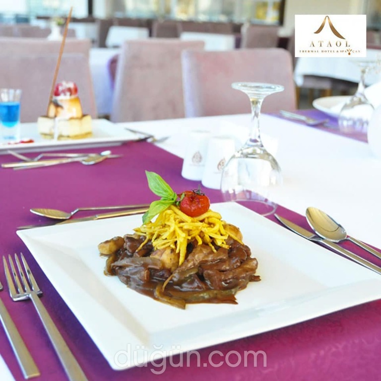 Ataol Çan Termal Otel & Spa