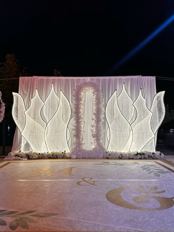 Astral Organizasyon