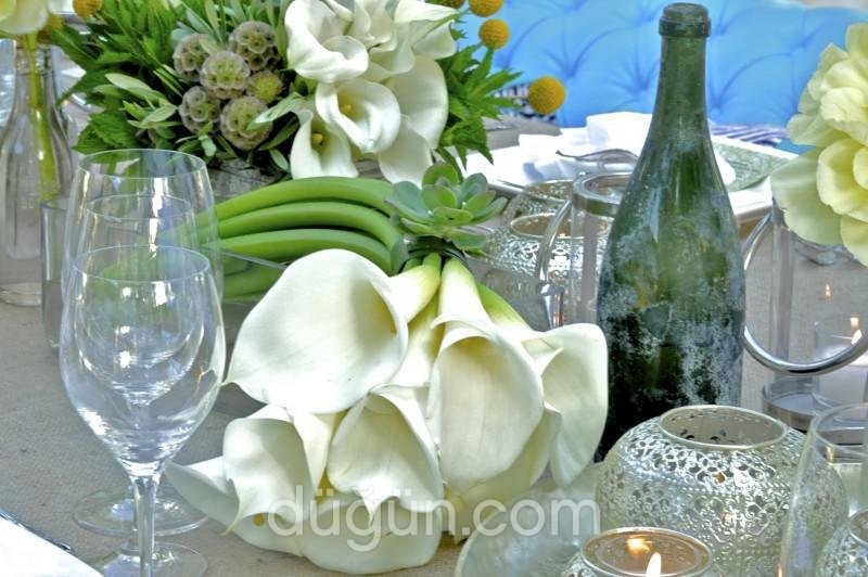 Peravision Organizasyon