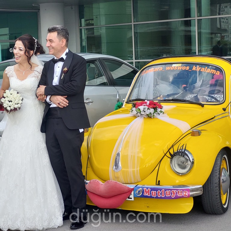 Limon Çiçeği Vosvos