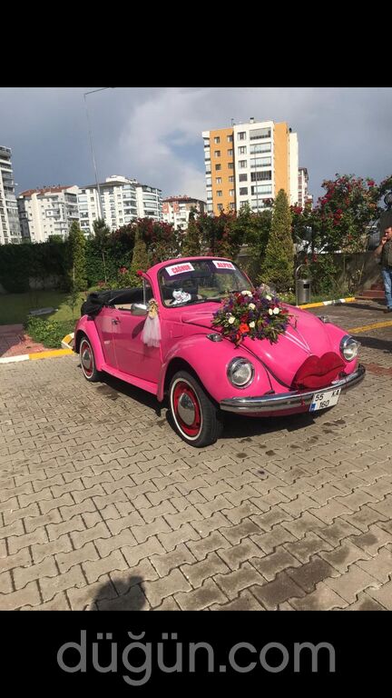 Limon Çiçeği Vosvos