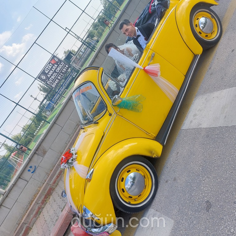 Limon Çiçeği Vosvos