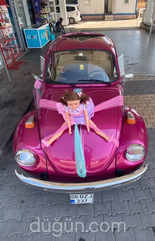 Limon Çiçeği Vosvos