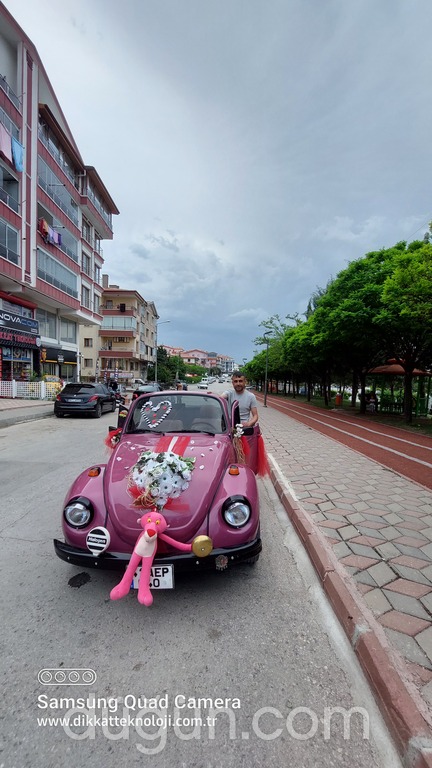 Limon Çiçeği Vosvos