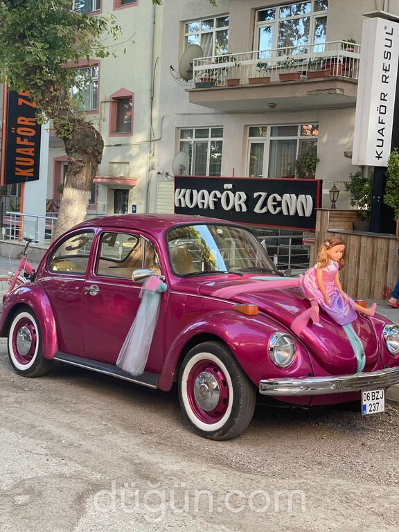 Limon Çiçeği Vosvos