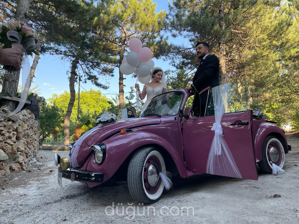 Limon Çiçeği Vosvos