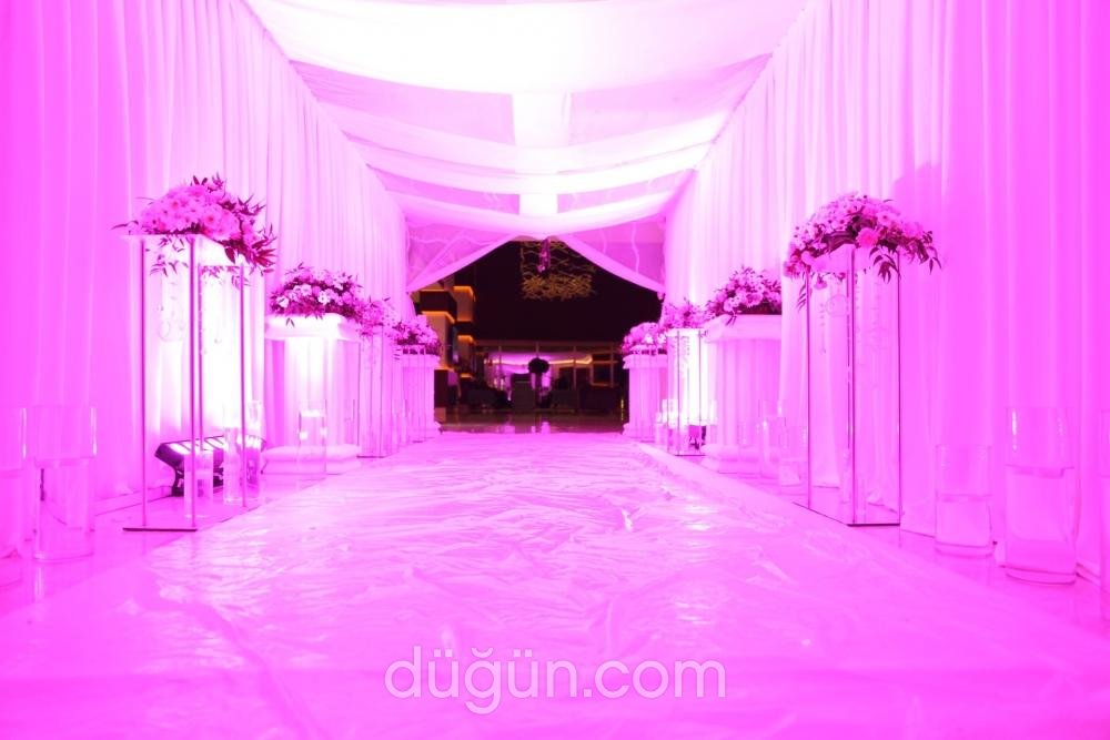 Bilgearif Organizasyon