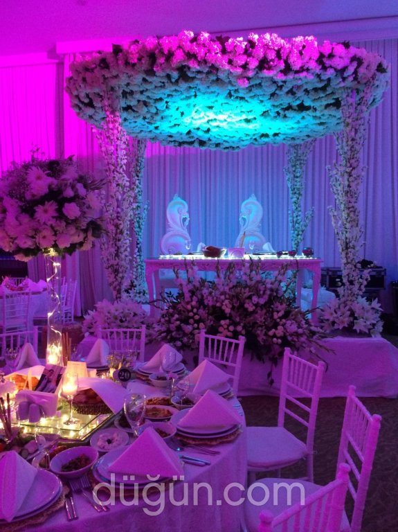 Bilgearif Organizasyon