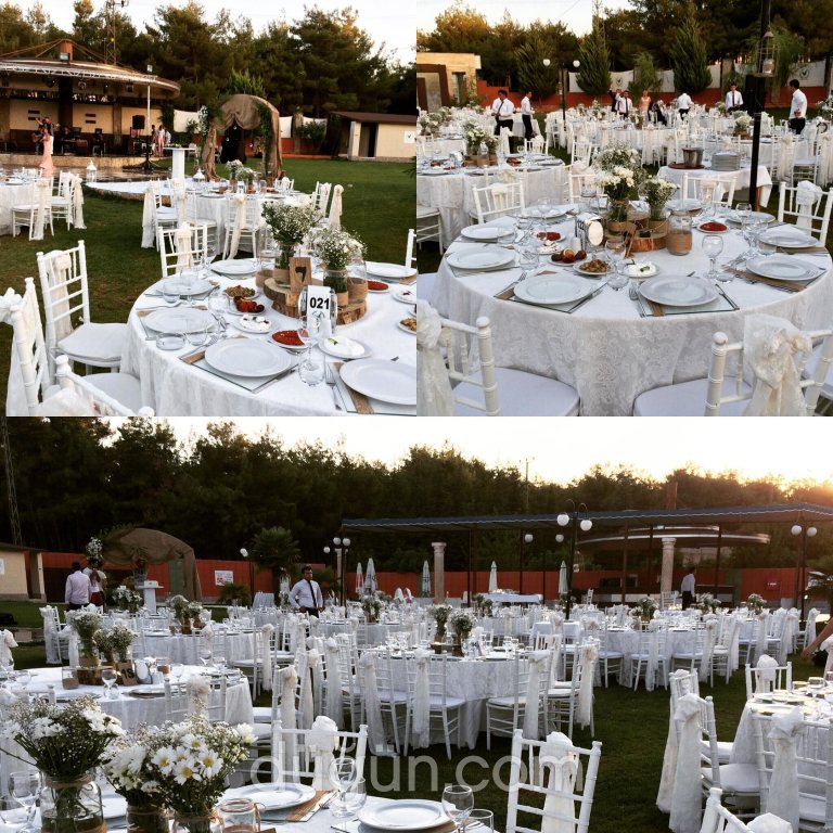 Bilgearif Organizasyon