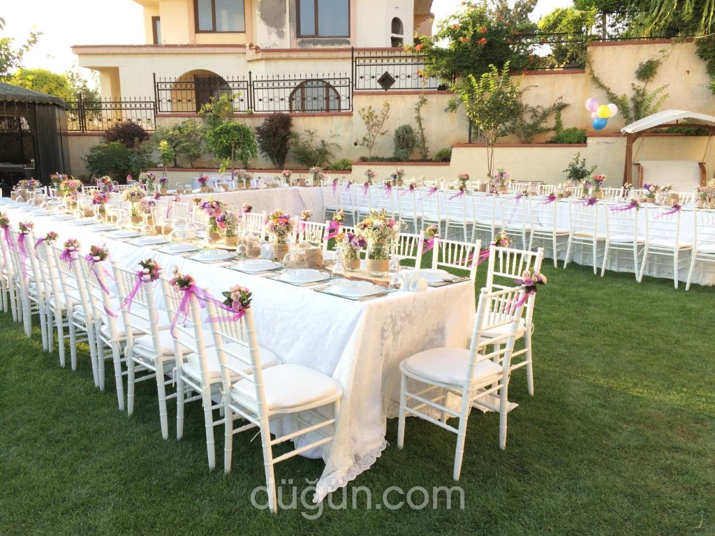 Bilgearif Organizasyon