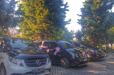image-1876849