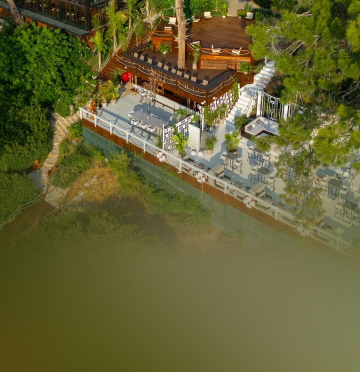 Lov Faralya