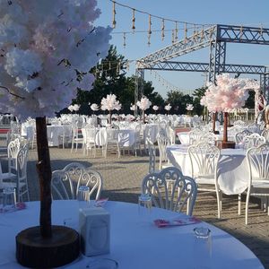 Lotus Davet Organizasyon