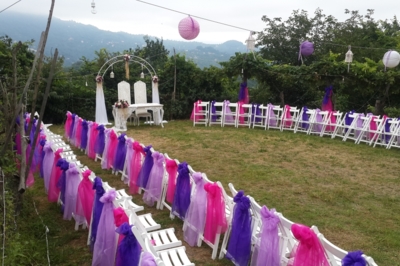 Procate Organizasyon