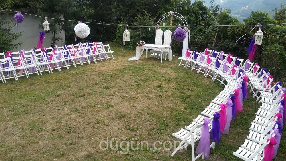 Procate Organizasyon