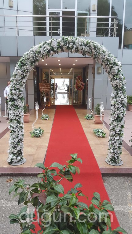 Procate Organizasyon