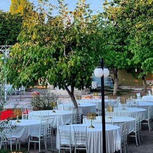 Royal Garden Kır Düğünü