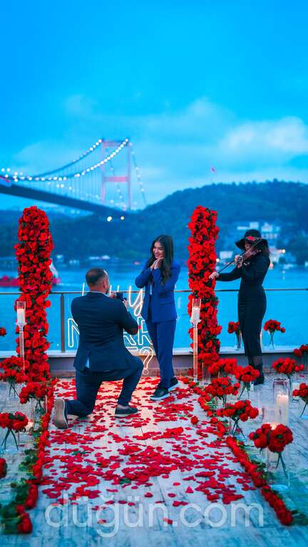 Love Dome Organizasyon