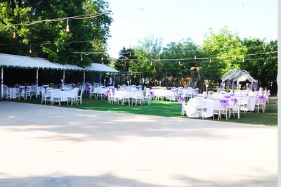 image-2010831