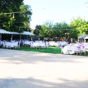 image-2010831