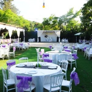 image-2010830
