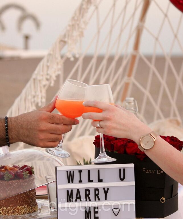 Sade Organizasyon Tasarım