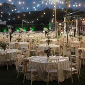 Artemis Garden