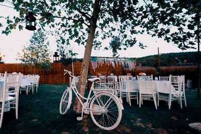 Nil Bahçe Events