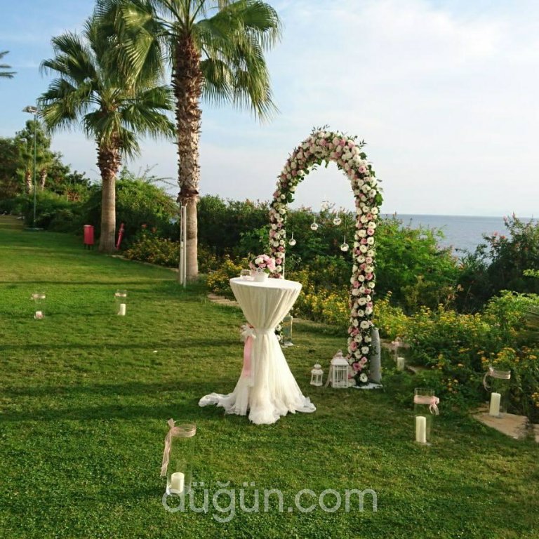 Konsept Organizasyon